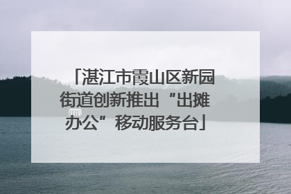 湛江市霞山区新园街道创新推出“出摊办公”移动服务台