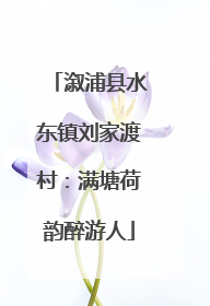 溆浦县水东镇刘家渡村：满塘荷韵醉游人