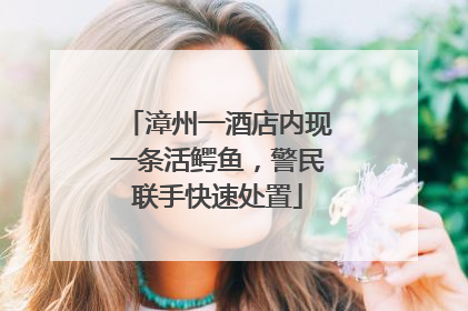 漳州一酒店内现一条活鳄鱼，警民联手快速处置