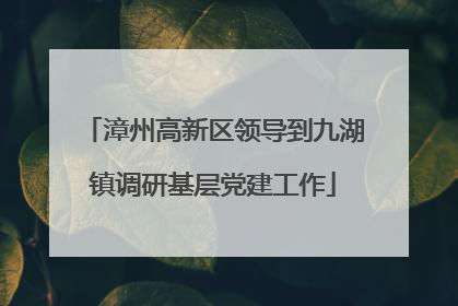 漳州高新区领导到九湖镇调研基层党建工作