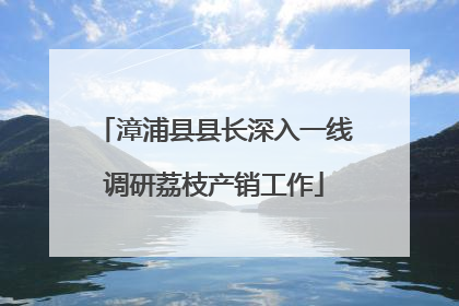 漳浦县县长深入一线调研荔枝产销工作