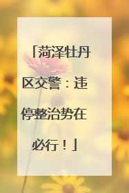菏泽牡丹区交警：违停整治势在必行！