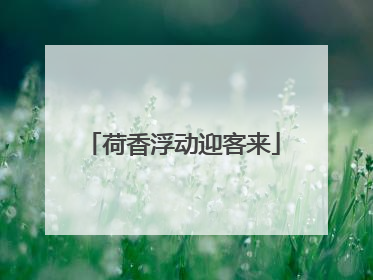 荷香浮动迎客来