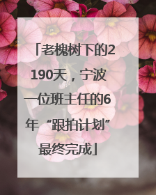 老槐树下的2190天，宁波一位班主任的6年“跟拍计划”最终完成