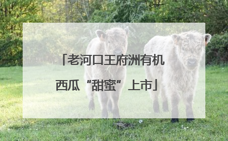 老河口王府洲有机西瓜“甜蜜”上市