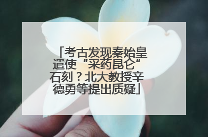 考古发现秦始皇遣使“采药昆仑”石刻？北大教授辛德勇等提出质疑