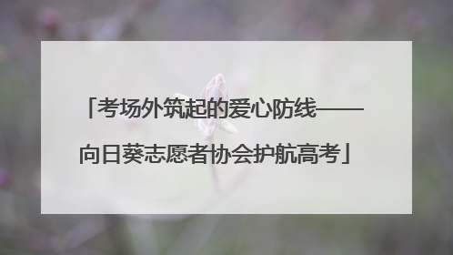 考场外筑起的爱心防线——向日葵志愿者协会护航高考