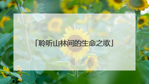 聆听山林间的生命之歌