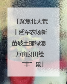 聚焦北大荒丨延军农场新苗破土铺绿浪 万亩良田绘“丰”景