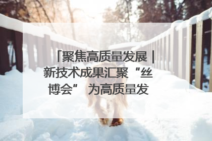 聚焦高质量发展｜新技术成果汇聚“丝博会” 为高质量发展注入新动能