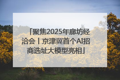 聚焦2025年廊坊经洽会丨京津冀首个AI招商选址大模型亮相