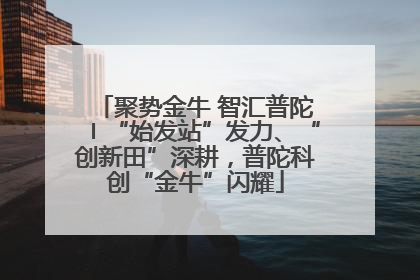 聚势金牛 智汇普陀〡“始发站”发力、“创新田”深耕，普陀科创“金牛”闪耀