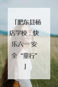 肥东县杨店学校：快乐六一 安全“童行”
