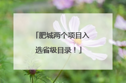 肥城两个项目入选省级目录！