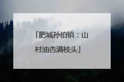 肥城孙伯镇：山村油杏满枝头