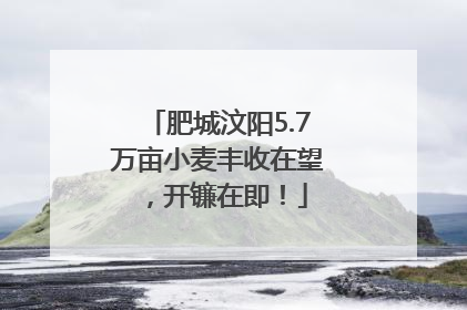 肥城汶阳5.7万亩小麦丰收在望，开镰在即！