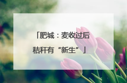 肥城：麦收过后秸秆有“新生”