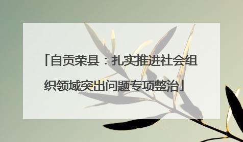 自贡荣县：扎实推进社会组织领域突出问题专项整治