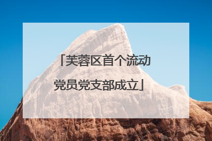 芙蓉区首个流动党员党支部成立