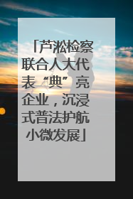 芦淞检察联合人大代表“典”亮企业，沉浸式普法护航小微发展