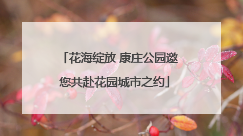 花海绽放 康庄公园邀您共赴花园城市之约
