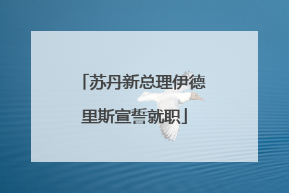 苏丹新总理伊德里斯宣誓就职