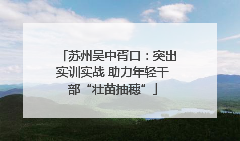 苏州吴中胥口：突出实训实战 助力年轻干部“壮苗抽穗”