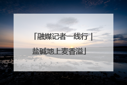 融媒记者一线行｜盐碱地上麦香溢