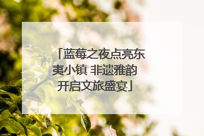 蓝莓之夜点亮东夷小镇 非遗雅韵开启文旅盛宴