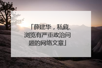 薛建华，私藏、浏览有严重政治问题的网络文章