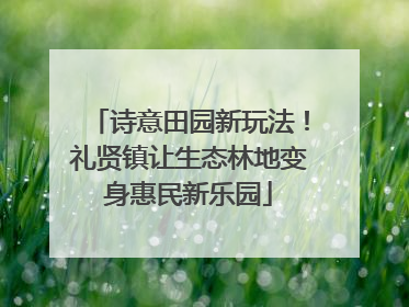 诗意田园新玩法！礼贤镇让生态林地变身惠民新乐园