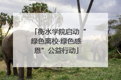 衡水学院启动“绿色离校·绿色感恩”公益行动