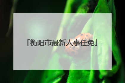 衡阳市最新人事任免