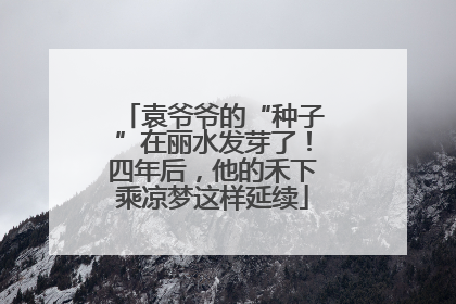 袁爷爷的“种子”在丽水发芽了！四年后，他的禾下乘凉梦这样延续