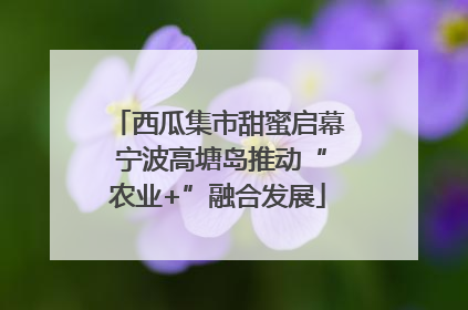 西瓜集市甜蜜启幕 宁波高塘岛推动“农业+”融合发展
