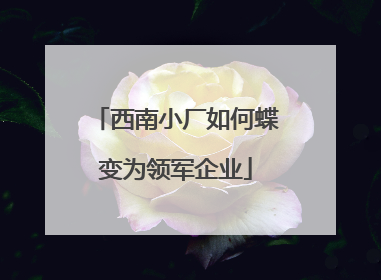 西南小厂如何蝶变为领军企业