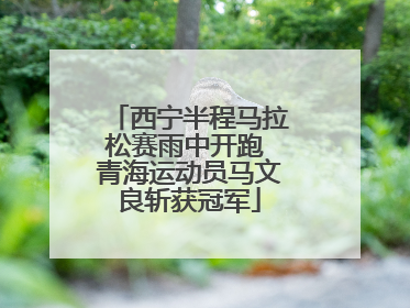 西宁半程马拉松赛雨中开跑 青海运动员马文良斩获冠军