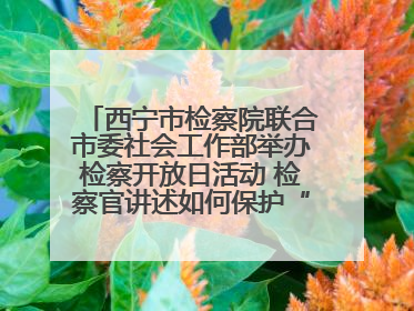 西宁市检察院联合市委社会工作部举办检察开放日活动 检察官讲述如何保护“少年的你”