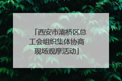西安市灞桥区总工会组织集体协商现场观摩活动