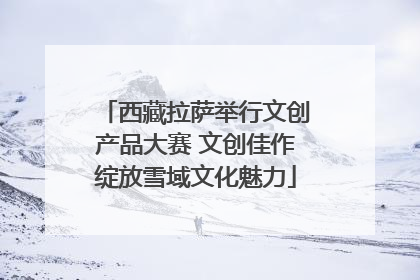 西藏拉萨举行文创产品大赛 文创佳作绽放雪域文化魅力