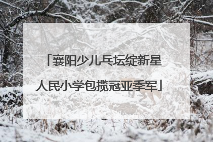 襄阳少儿乓坛绽新星 人民小学包揽冠亚季军