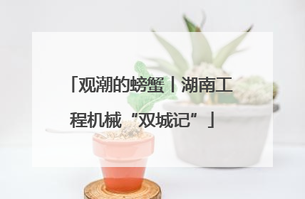 观潮的螃蟹丨湖南工程机械“双城记”