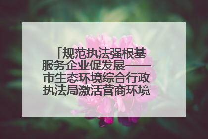 规范执法强根基 服务企业促发展——市生态环境综合行政执法局激活营商环境“绿色动能”