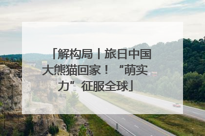 解构局丨旅日中国大熊猫回家！“萌实力”征服全球