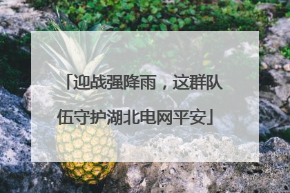 迎战强降雨，这群队伍守护湖北电网平安
