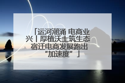 运河潮涌 电商业兴丨厚植沃土筑生态 宿迁电商发展跑出“加速度”