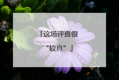 这场评查很“较真”