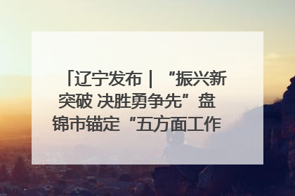 辽宁发布｜“振兴新突破 决胜勇争先”盘锦市锚定“五方面工作”力争全年地区生产总值增长5.5%左右