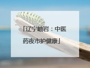 辽宁岫岩：中医药夜市护健康