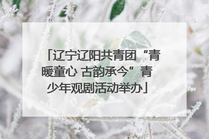 辽宁辽阳共青团“青暖童心 古韵承今”青少年观剧活动举办